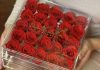 Roses Acrylic Box