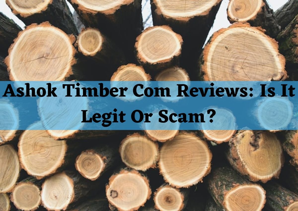 ashok timber com reviews