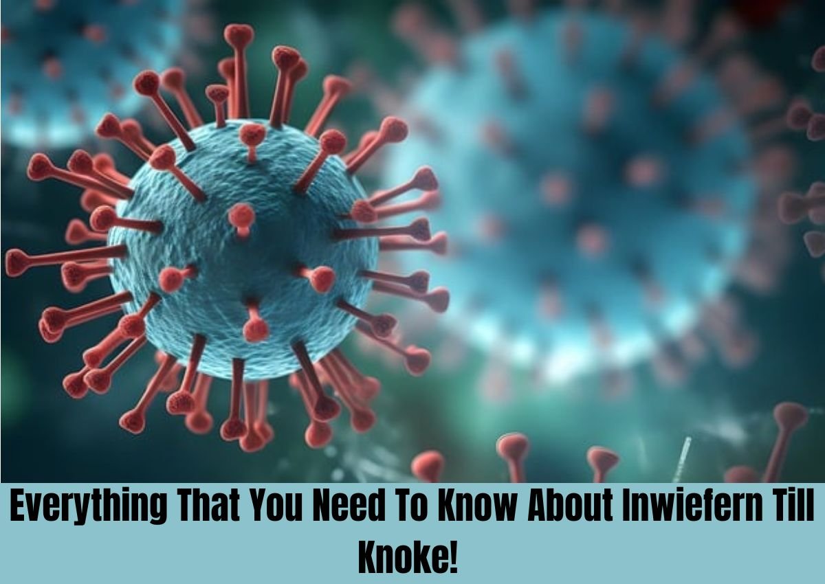 inwiefern till knoke