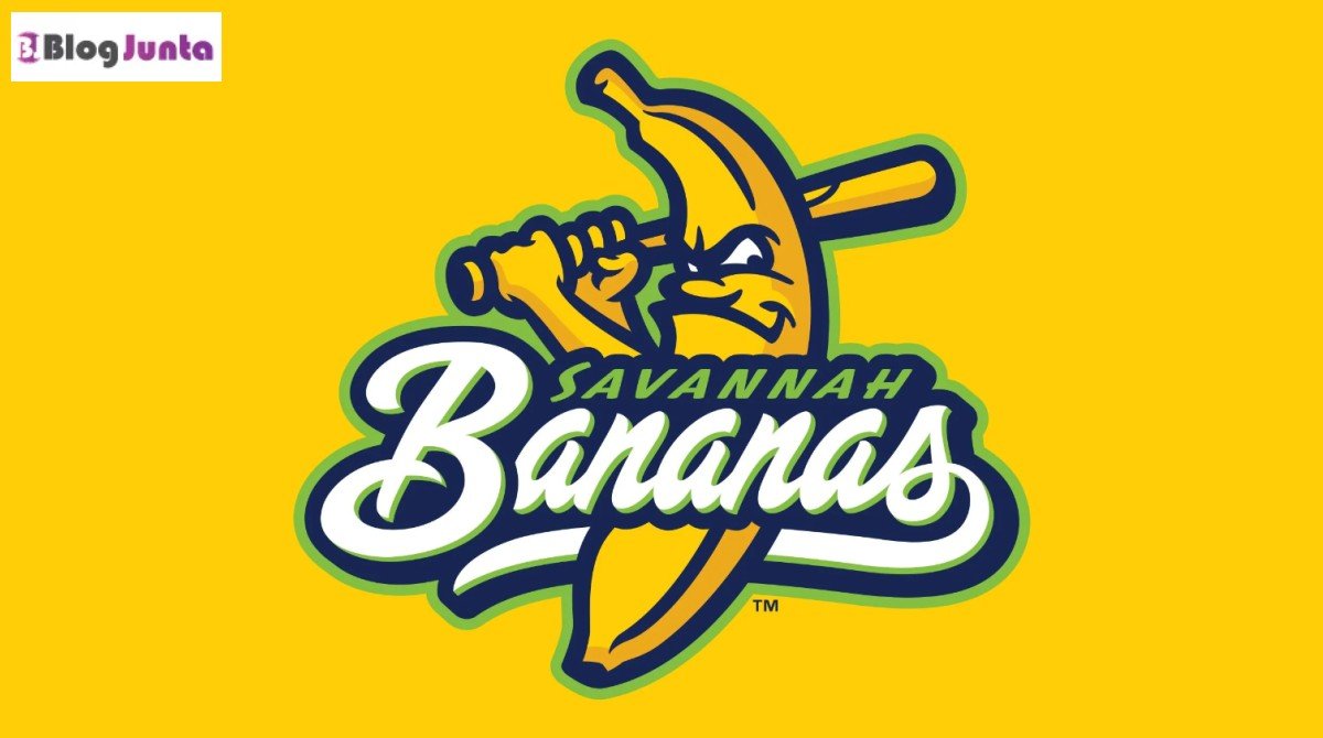 Savannah Bananas Net Worth